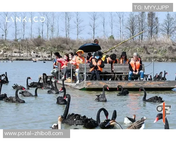 周磊专访：畅谈飞盘运动的发展与个人成长历程